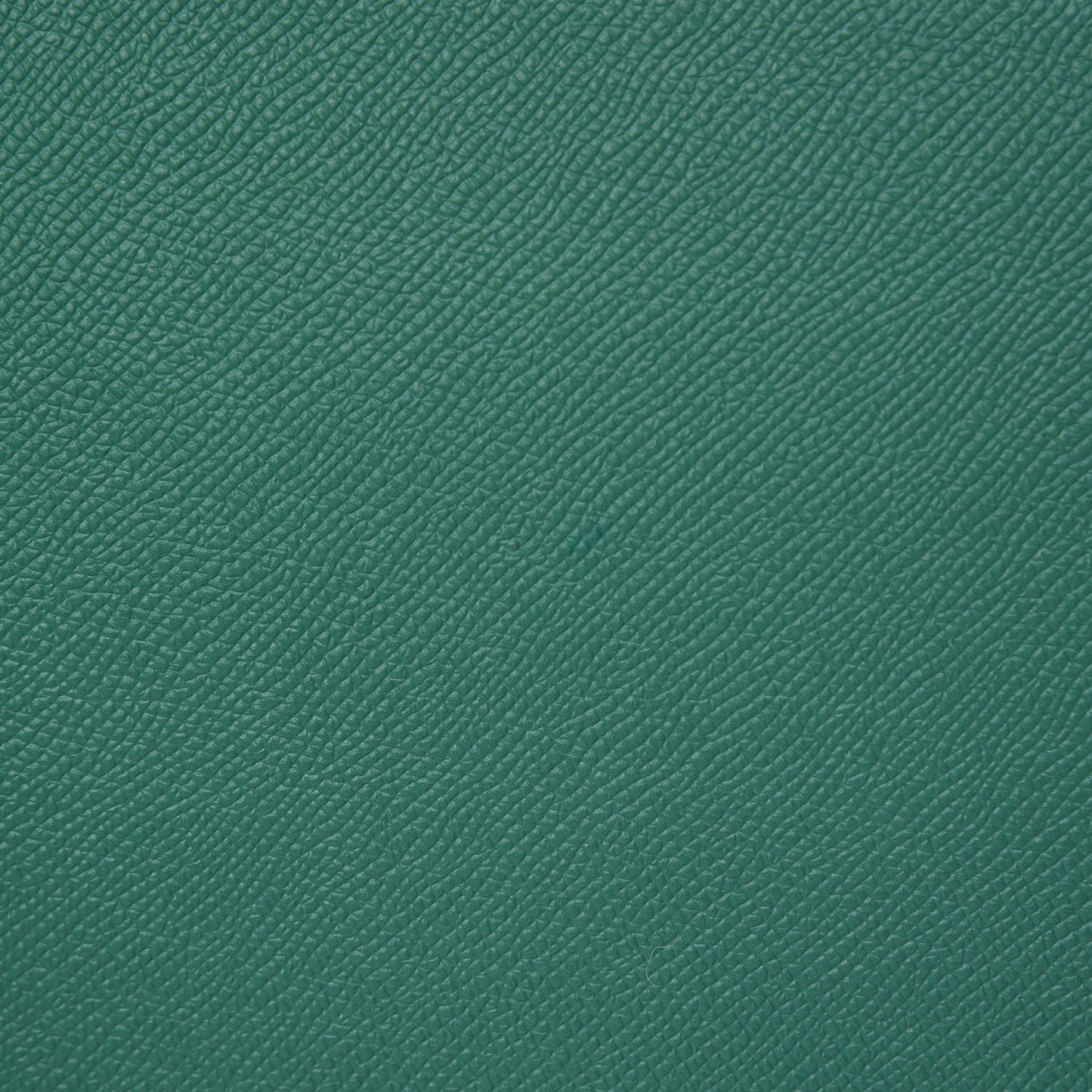 Epsom Birkin 30 Vert Vertigo