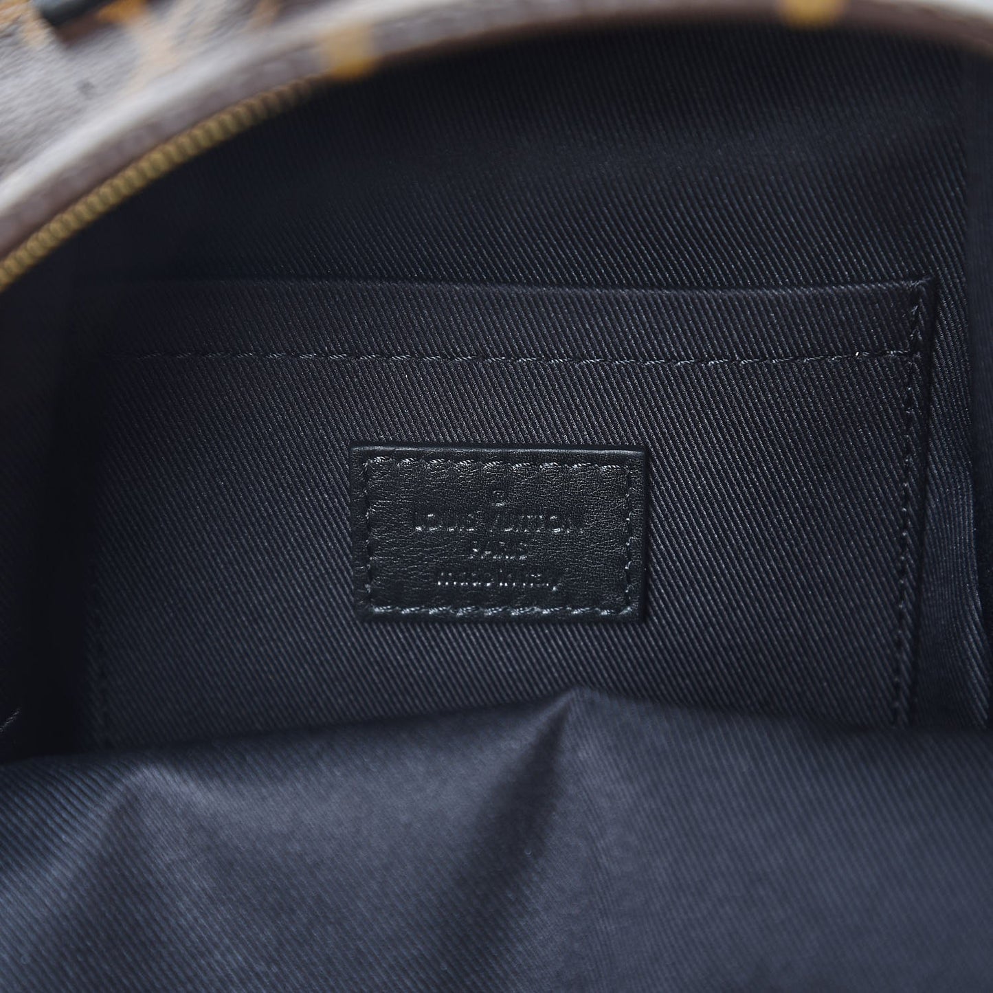 Monogram Palm Springs Backpack Mini