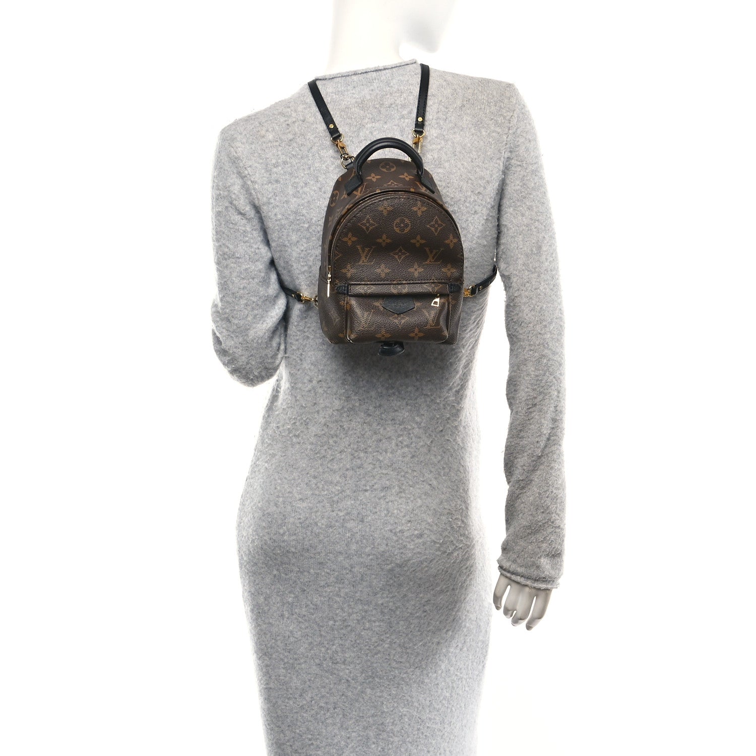 Louis Vuitton Monogram Palm Springs Backpack Mini 2 of 12