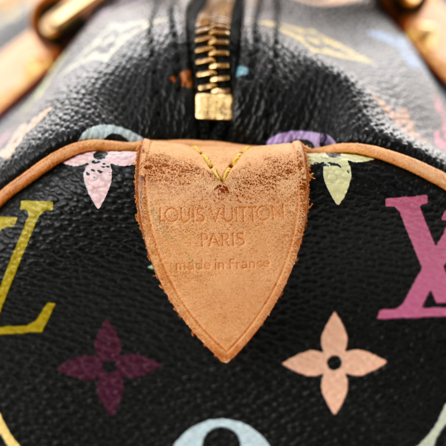 Monogram Multicolor Speedy 30 Black