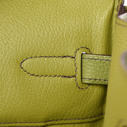 Hermes Togo Birkin 35 Vert Anis 19 of 53