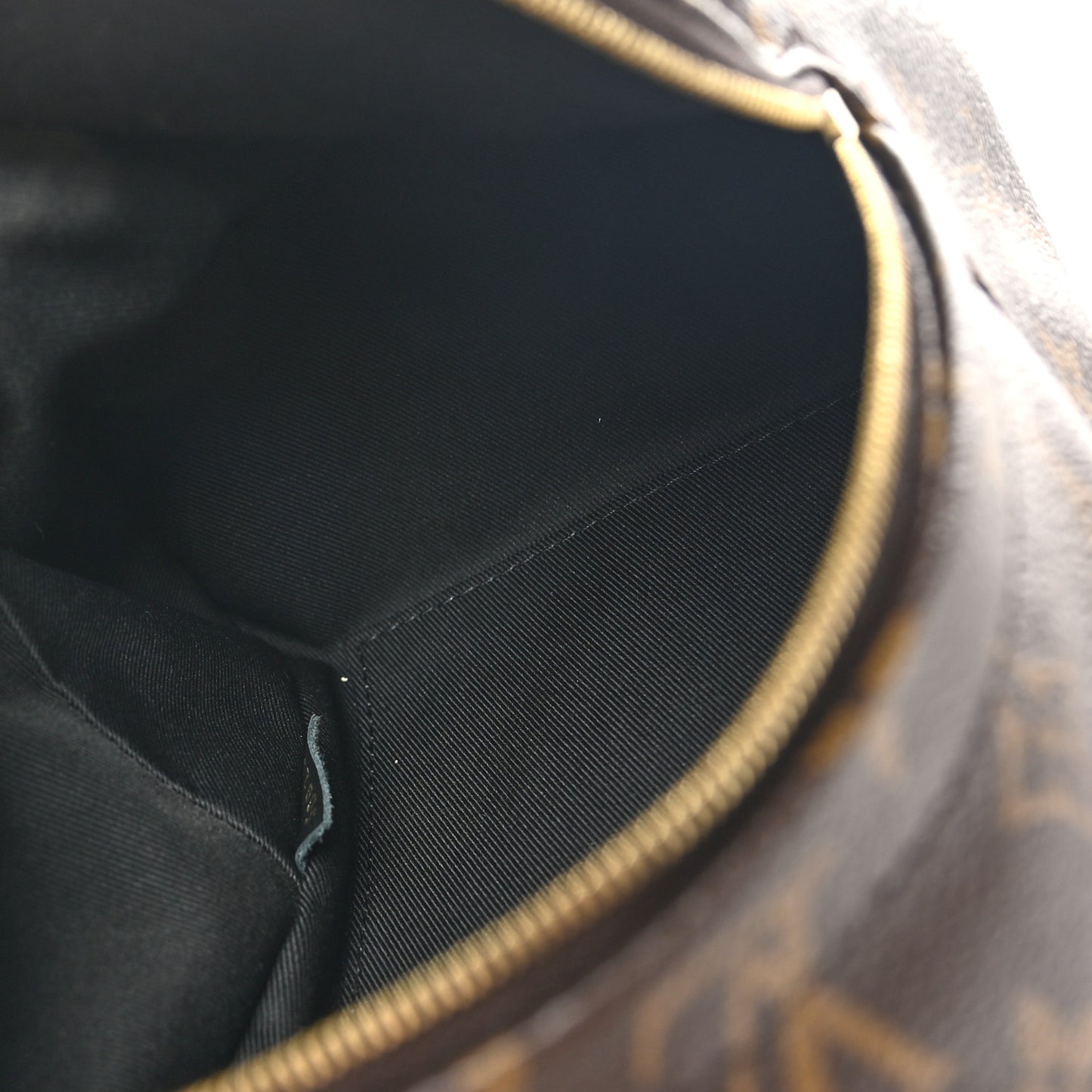 Monogram Palm Springs Backpack Mini