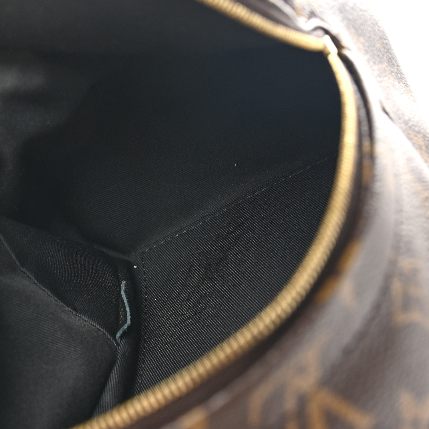 Louis Vuitton Monogram Palm Springs Backpack Mini 5 of 10