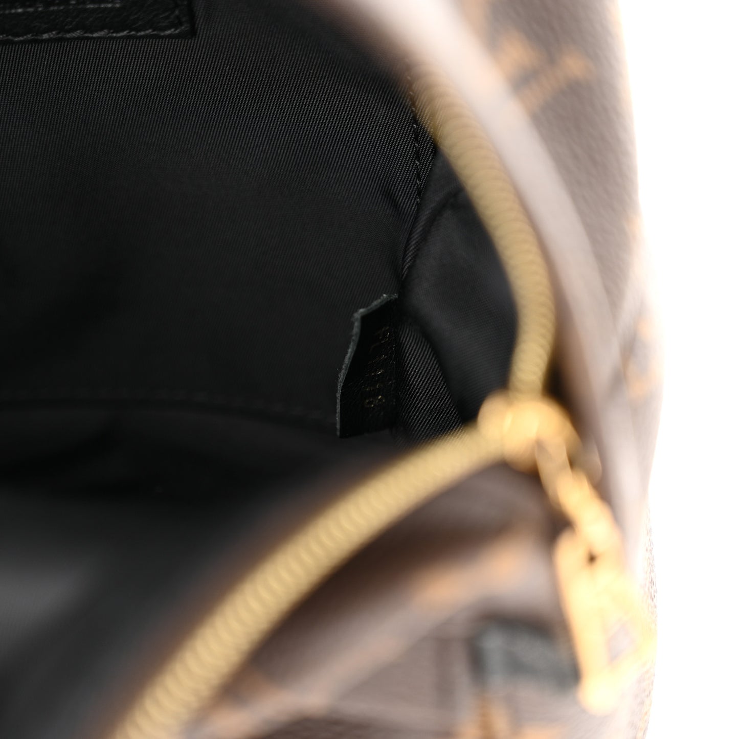 Monogram Palm Springs Backpack Mini