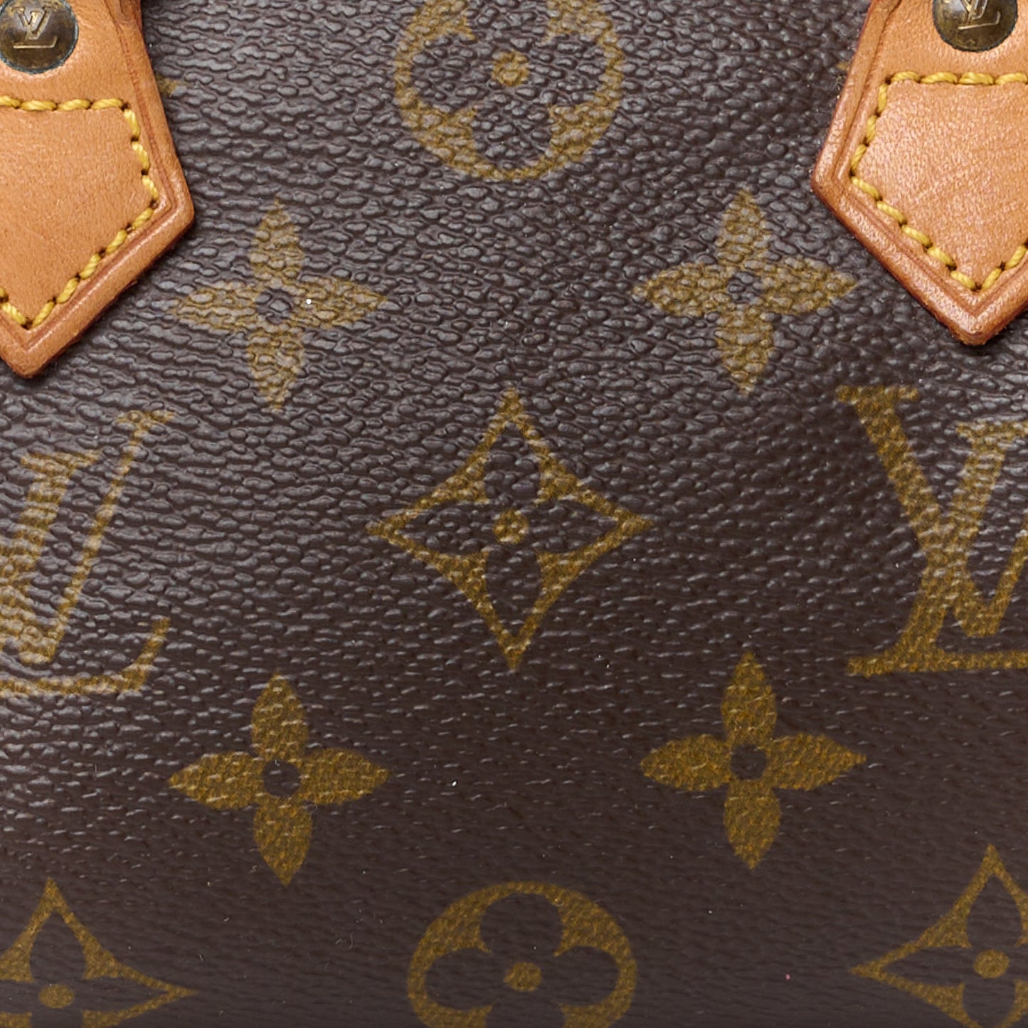 Monogram Mini Sac HL Speedy