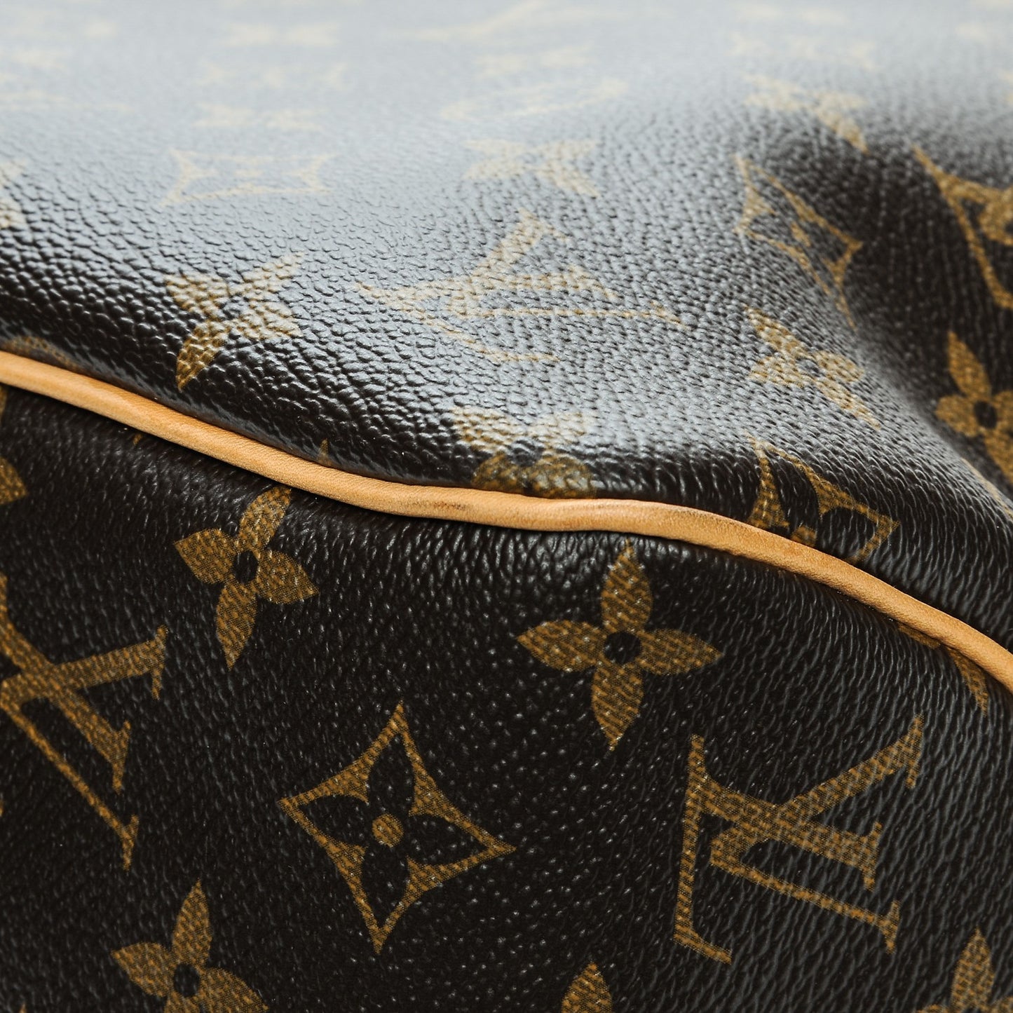 Monogram Delightful MM