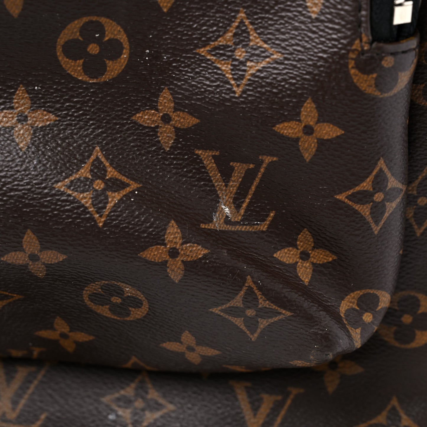 Monogram Macassar Zack Backpack