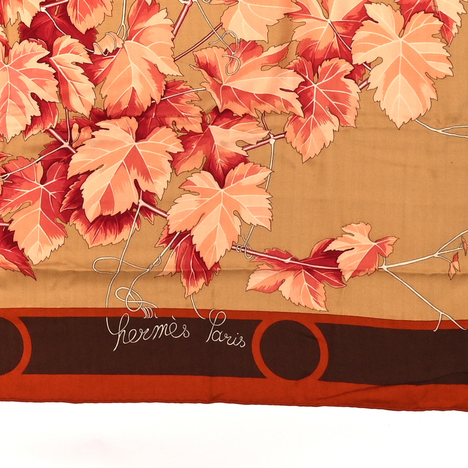 Hermes Cashmere Silk Pampres Shawl 140 5 of 6