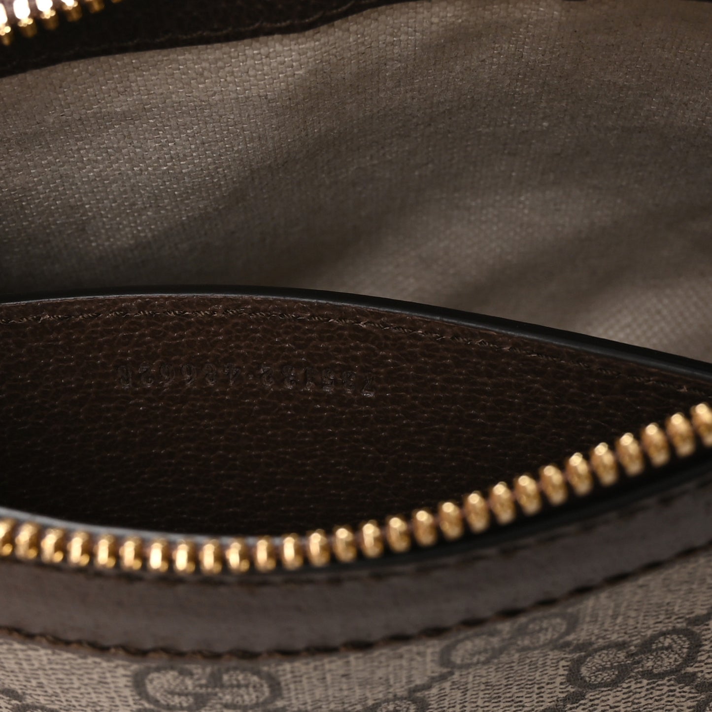 GG Supreme Monogram Textured Dollar Calfskin Web Small Ophidia GG Handbag Beige Ebony New Acero