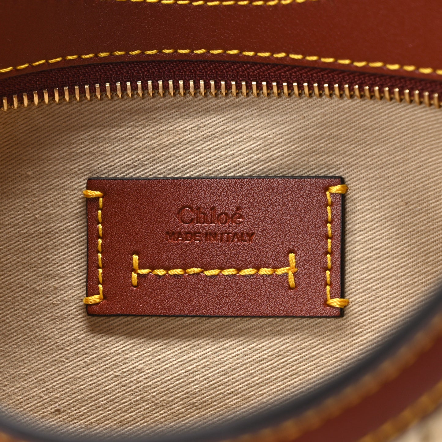 Calfskin Raffia Embroidered Small Darryl Hobo Sepia Brown