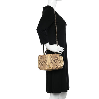 Chanel Snakeskin Metal Top Handle Carry Chic Flap 2 of 13