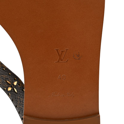 Louis Vuitton Monogram Sunny Flat Thong Sandals 40 Brown 6 of 7