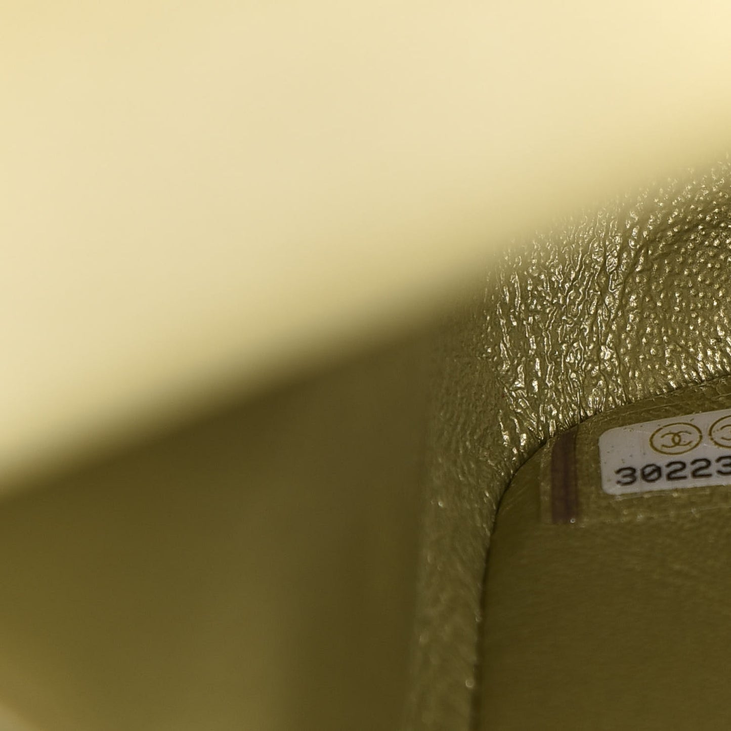 Metallic Goatskin Quilted 2.55 Reissue 225 Flap Multicolor