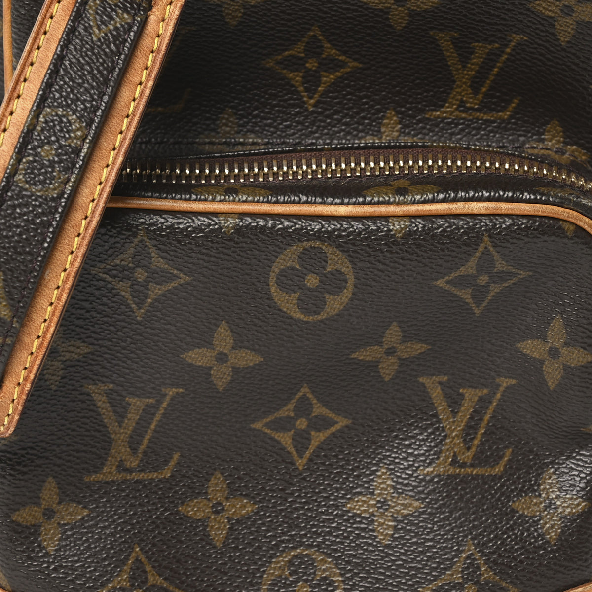 Monogram Amazone