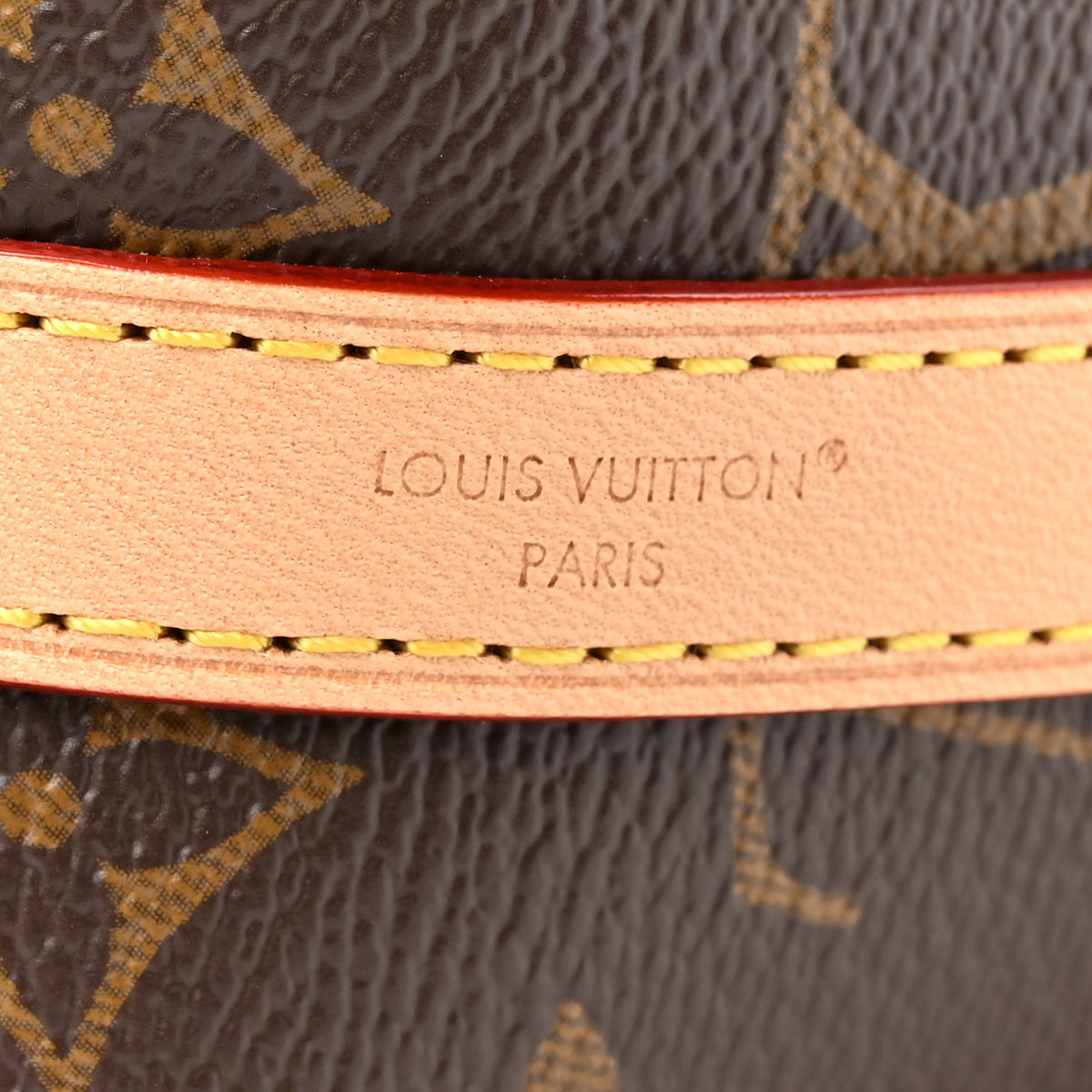 Monogram Multipass Mini