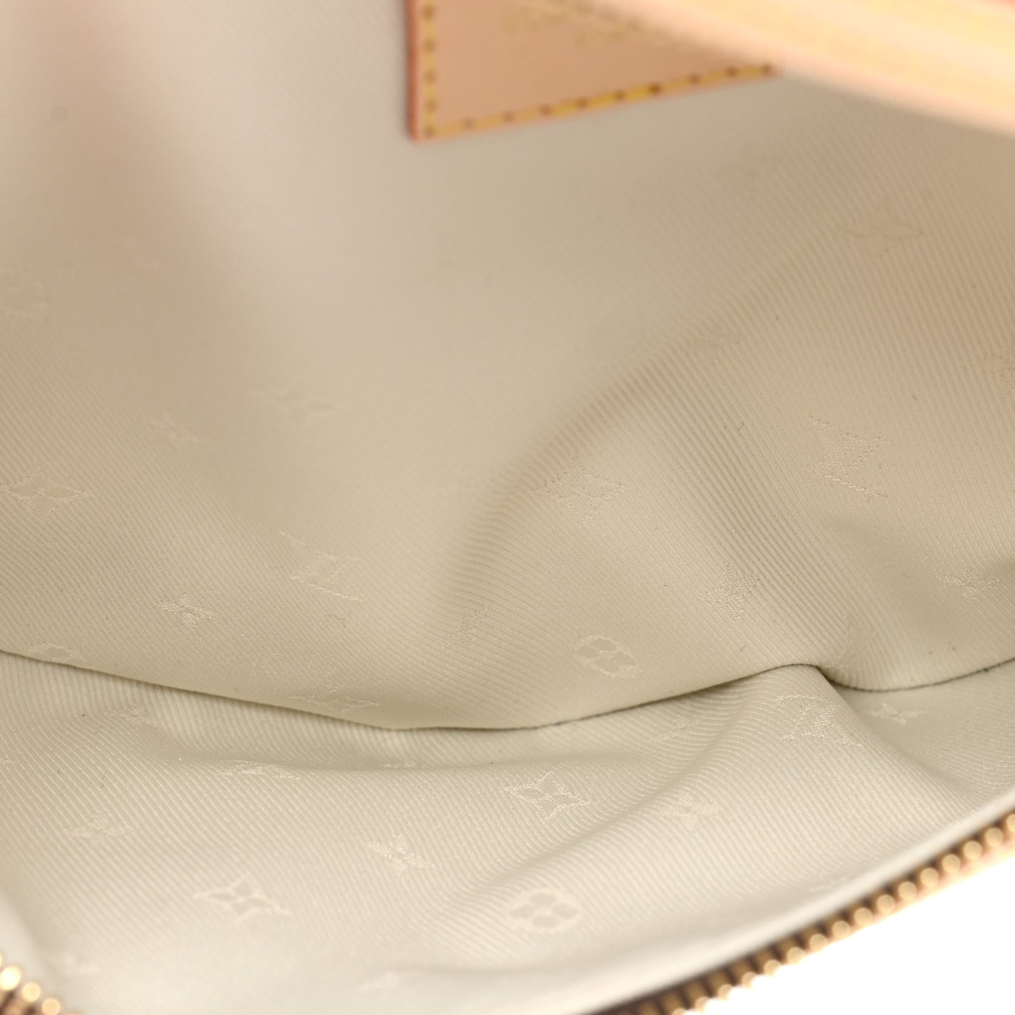 Monogram High Rise Bumbag