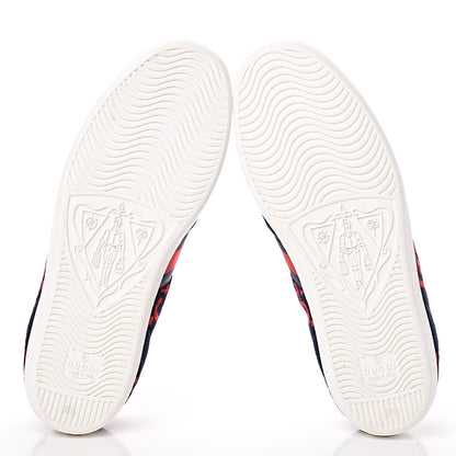 Gucci Terry Cloth GG Monogram Web Womens Ace Sneakers 37.5 Blue Red 5 of 9