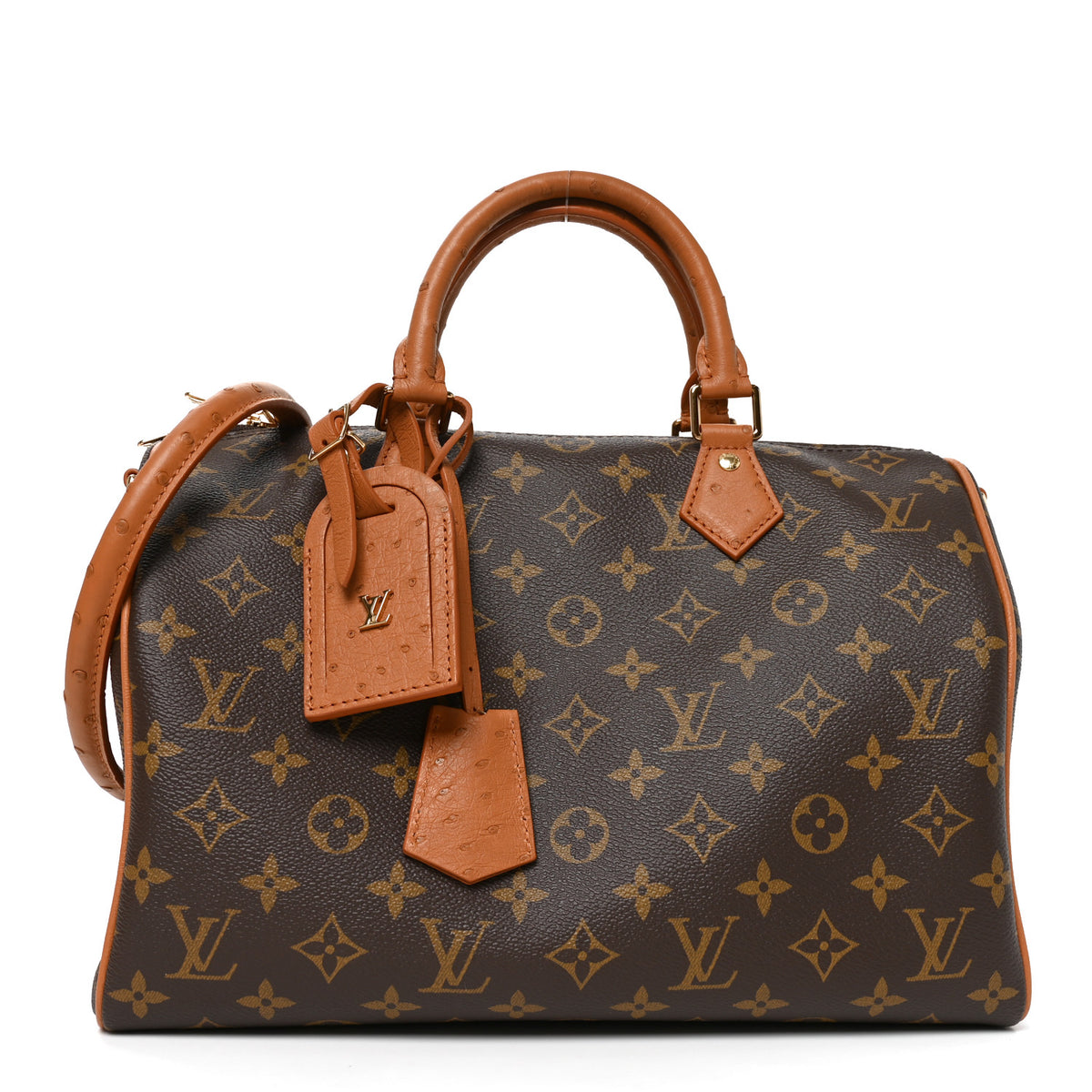 Monogram Speedy Soft 30 Boho