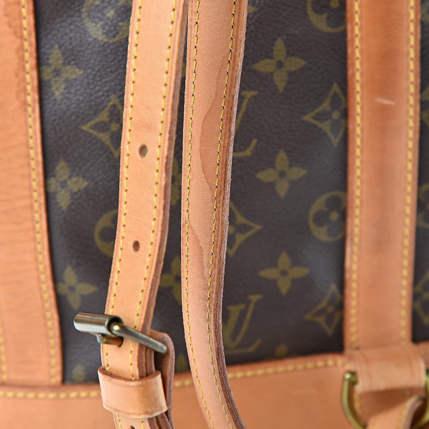 Monogram Randonnee GM Backpack