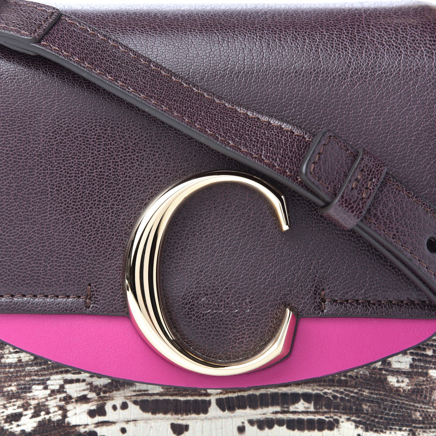 Chloe Shiny Goatskin Calfskin Lizard Embossed Mini C Double Carry Black Raisin 9 of 9