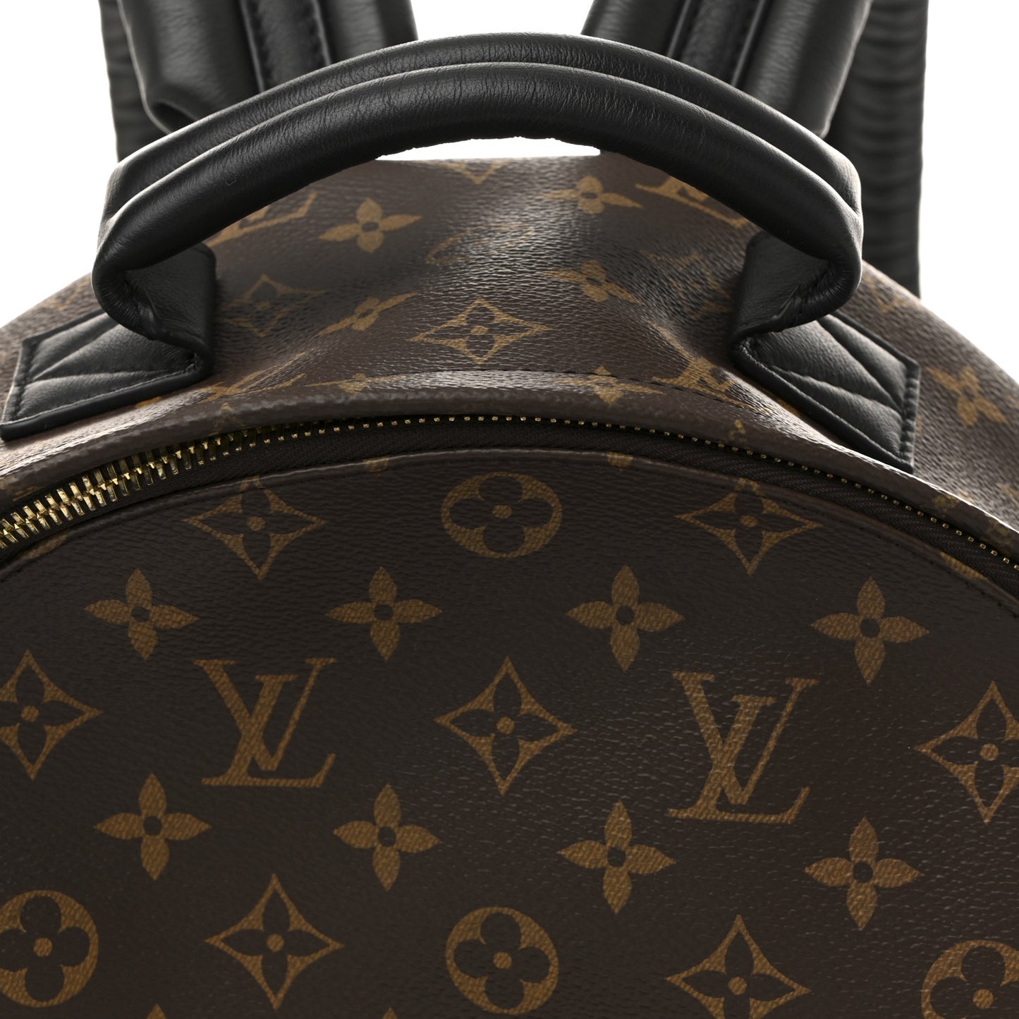 Monogram Palm Springs Backpack MM