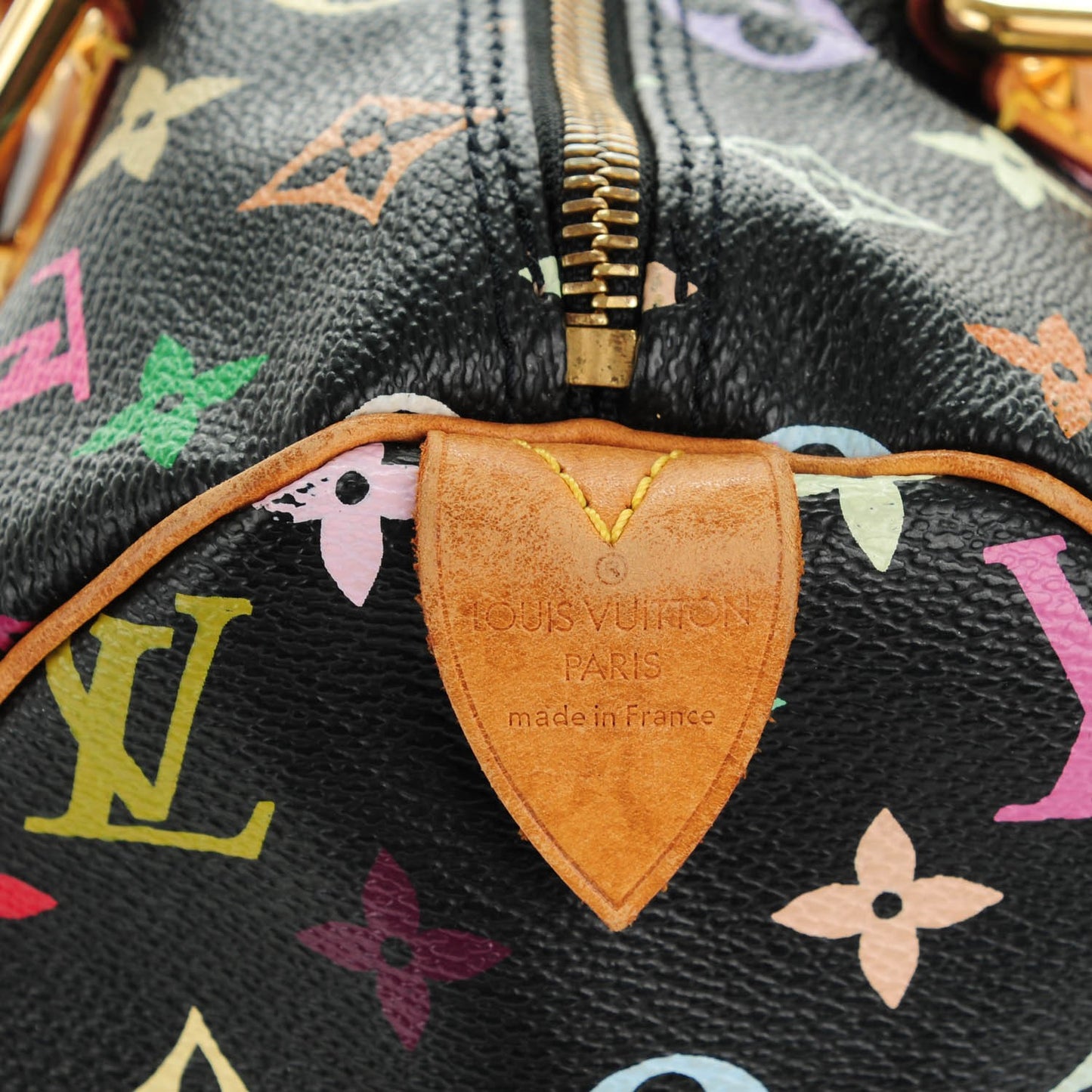 Monogram Multicolor Speedy 30 Black