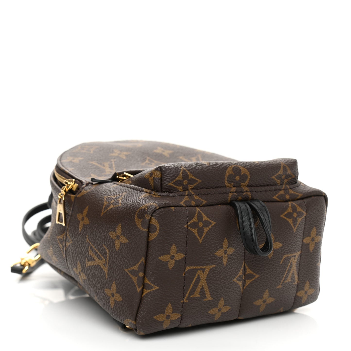 Monogram Palm Springs Backpack Mini