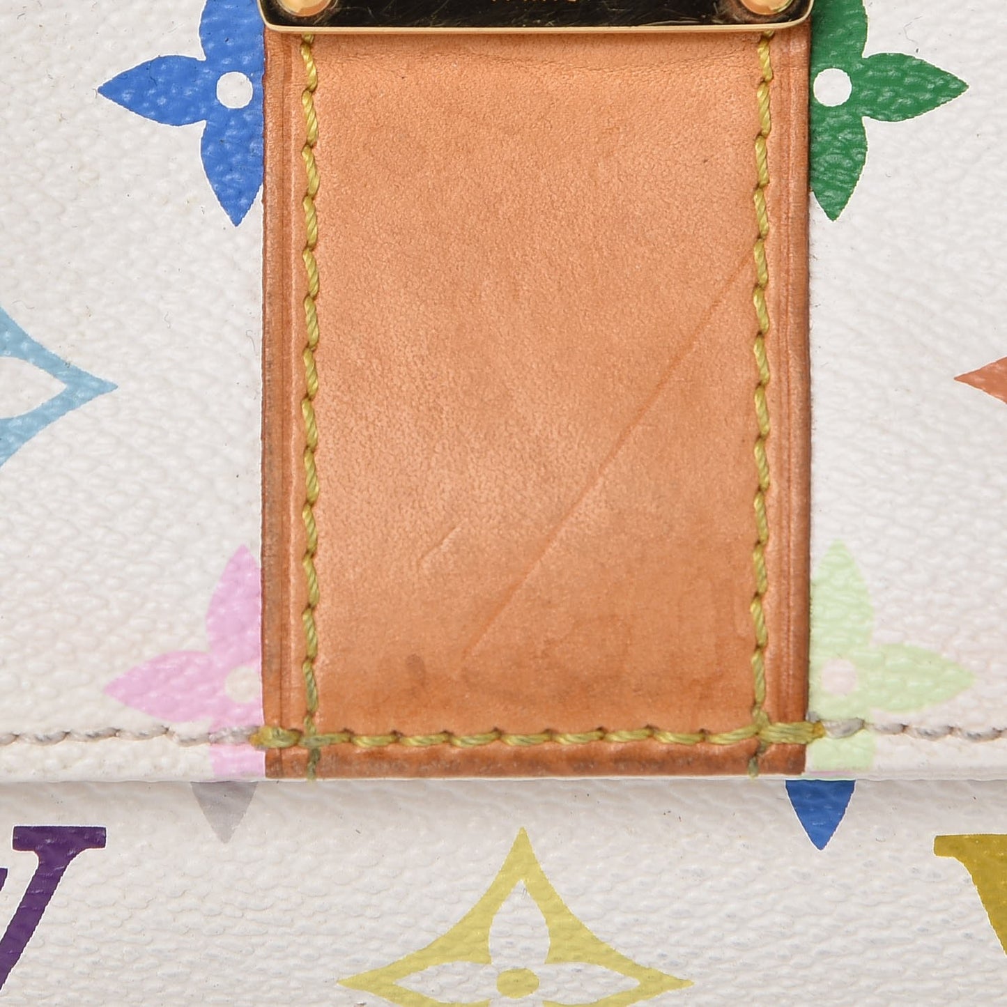 Monogram Multicolor Speedy 30 White