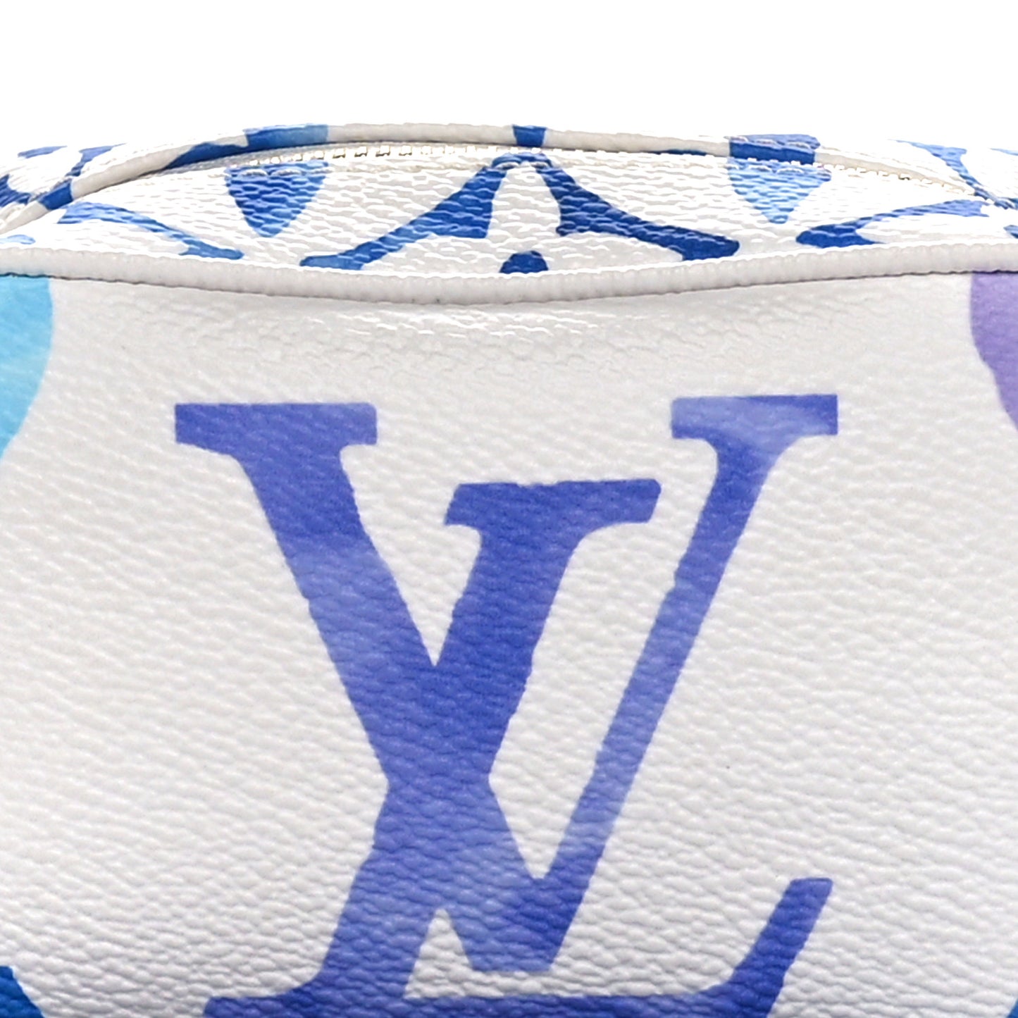 Monogram Giant Watercolor Wapity Case Blue