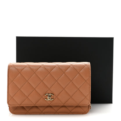 Chanel Caviar Quilted CC Turnlock Wallet On Chain WOC Brown 12 of 12