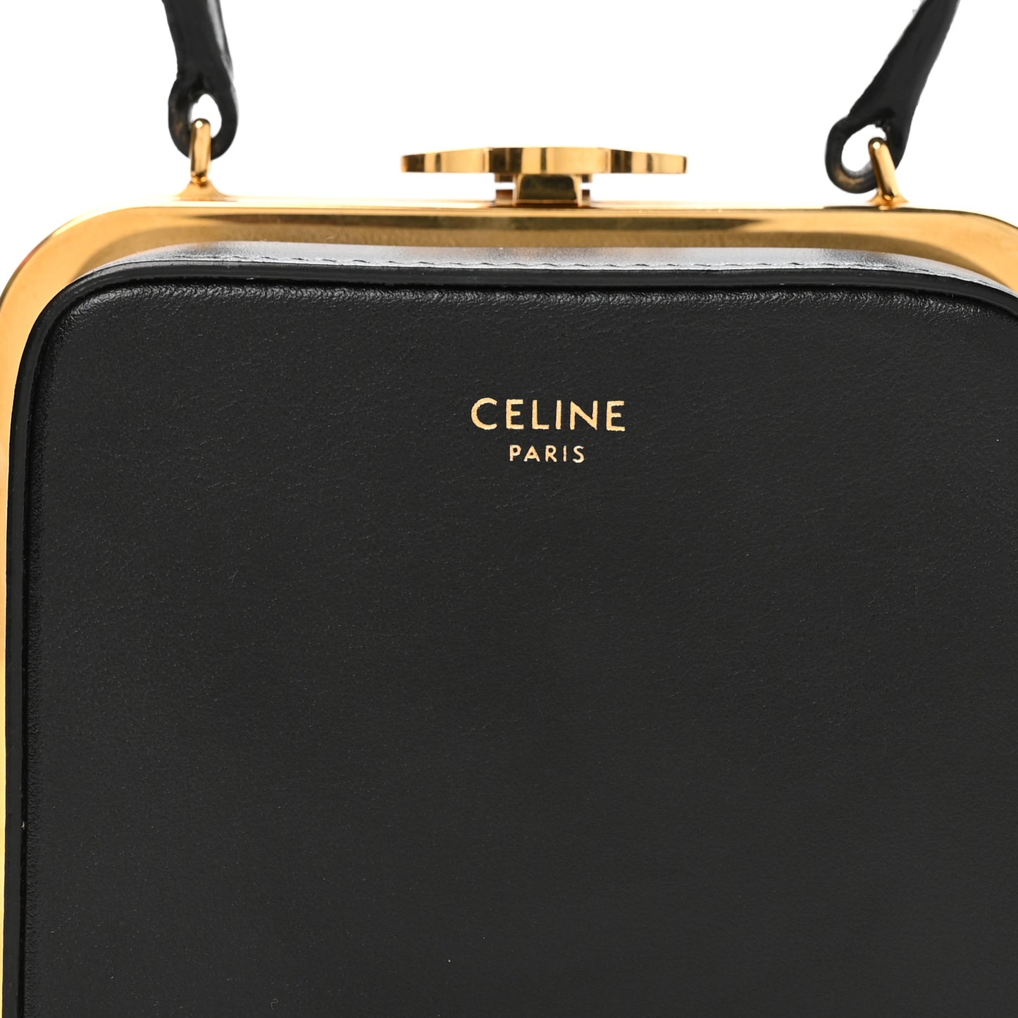 Shiny Calfskin Lana Triomphe Minaudiere Black
