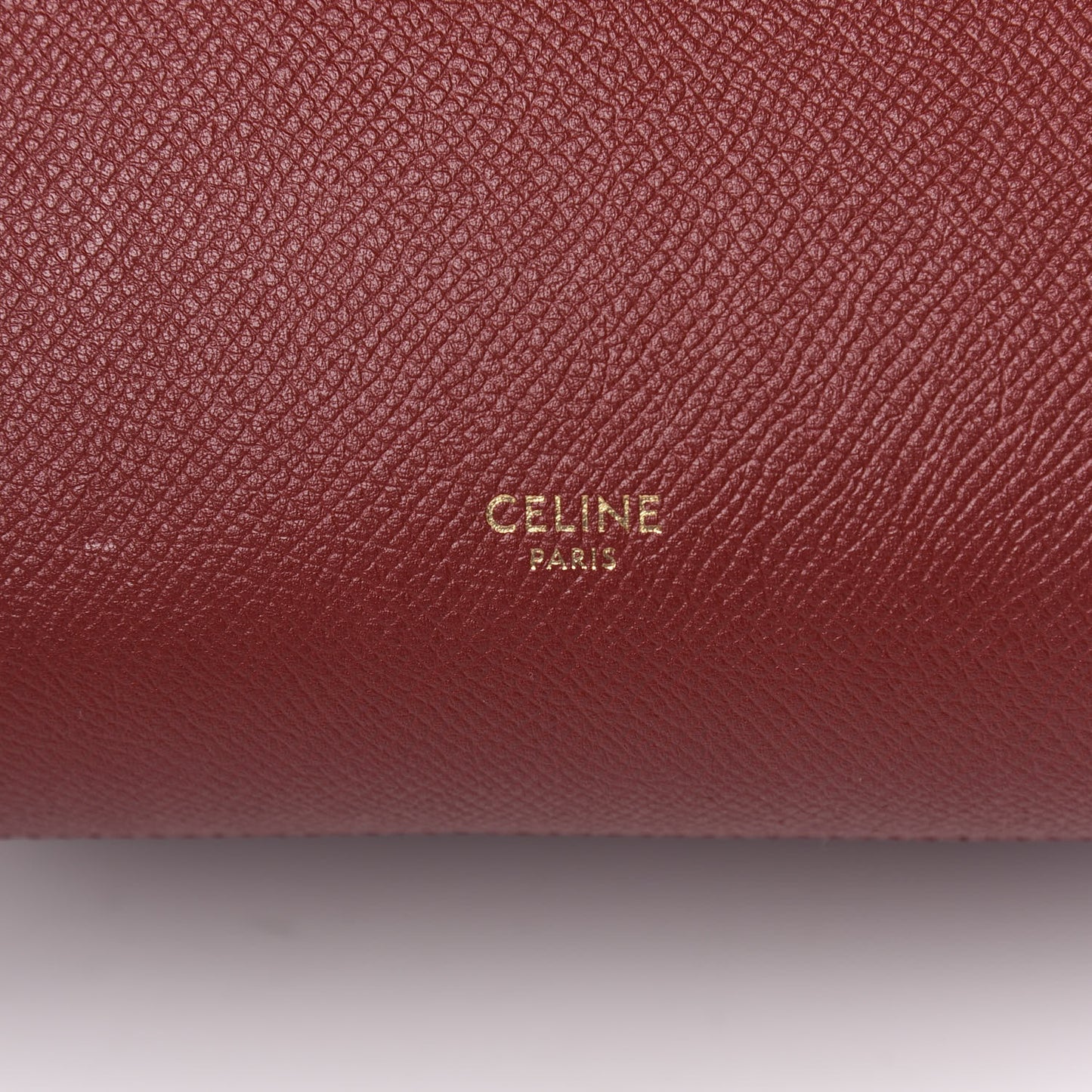 Grained Calfskin Nano Belt Bag Ruby