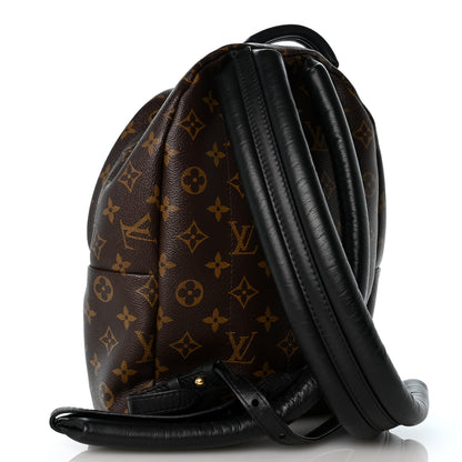 Louis Vuitton Reverse Monogram Palm Springs Backpack PM 3 of 12