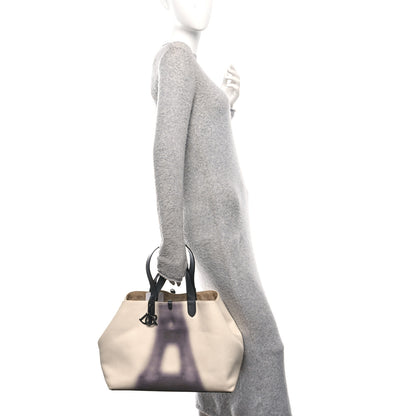 Christian Dior Canvas Large Eiffel Tower Toujours Beige Black 2 of 10