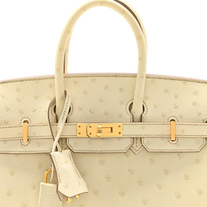 Hermes Ostrich Birkin 25 Beton 8 of 15