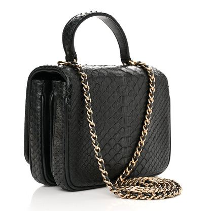 Chanel Snakeskin Quilted Mini Citizen Chic Flap Black 2 of 12