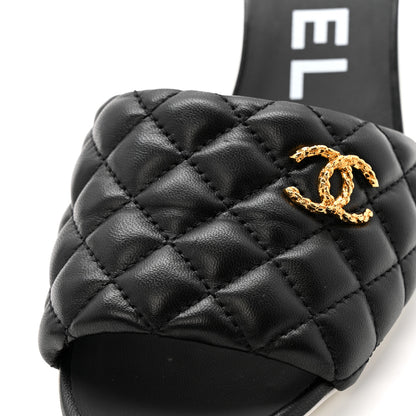 Chanel Lambskin Quilted Textured CC Mules 40 Black 10 of 11