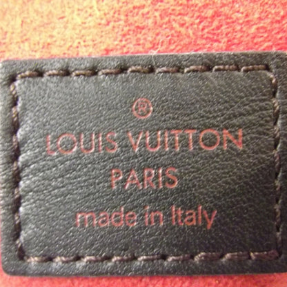 Louis Vuitton Damier Sauvage Lionne 9 of 10