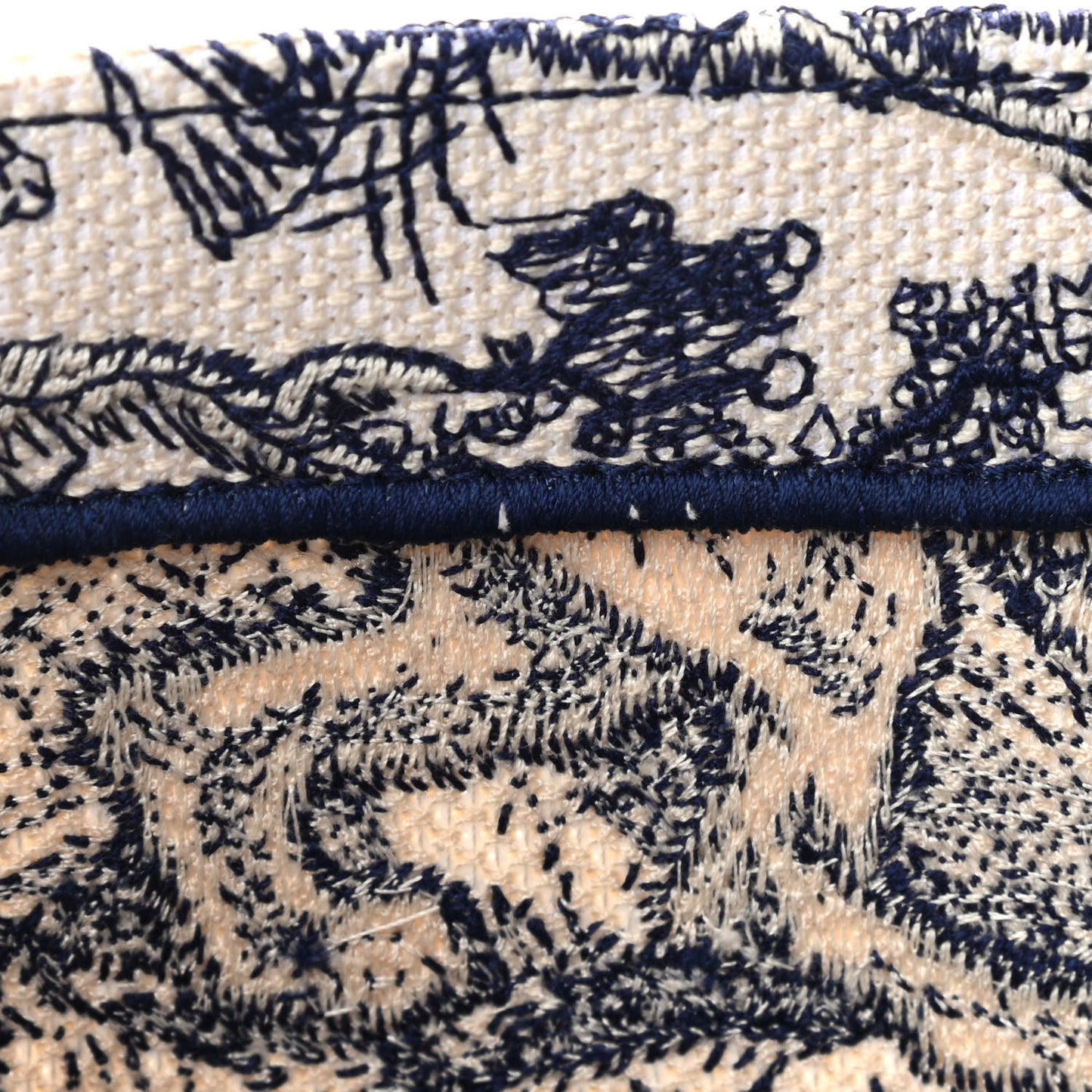 Canvas Embroidered Medium Dioriviera Toile De Jouy Book Tote Blue