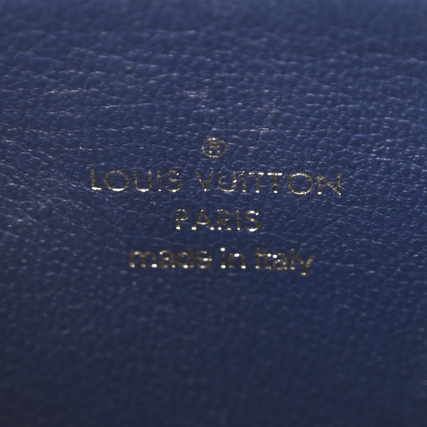 Lambskin Embossed Monogram Coussin PM Camel