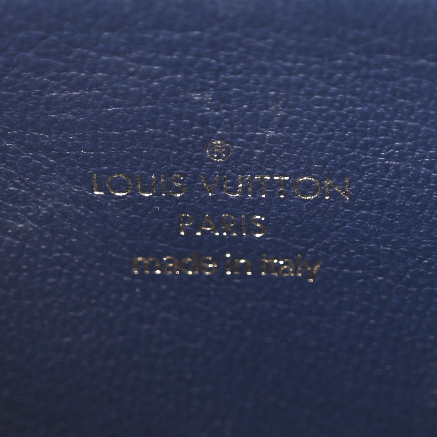 Louis Vuitton Lambskin Embossed Monogram Coussin PM Camel 5 of 9