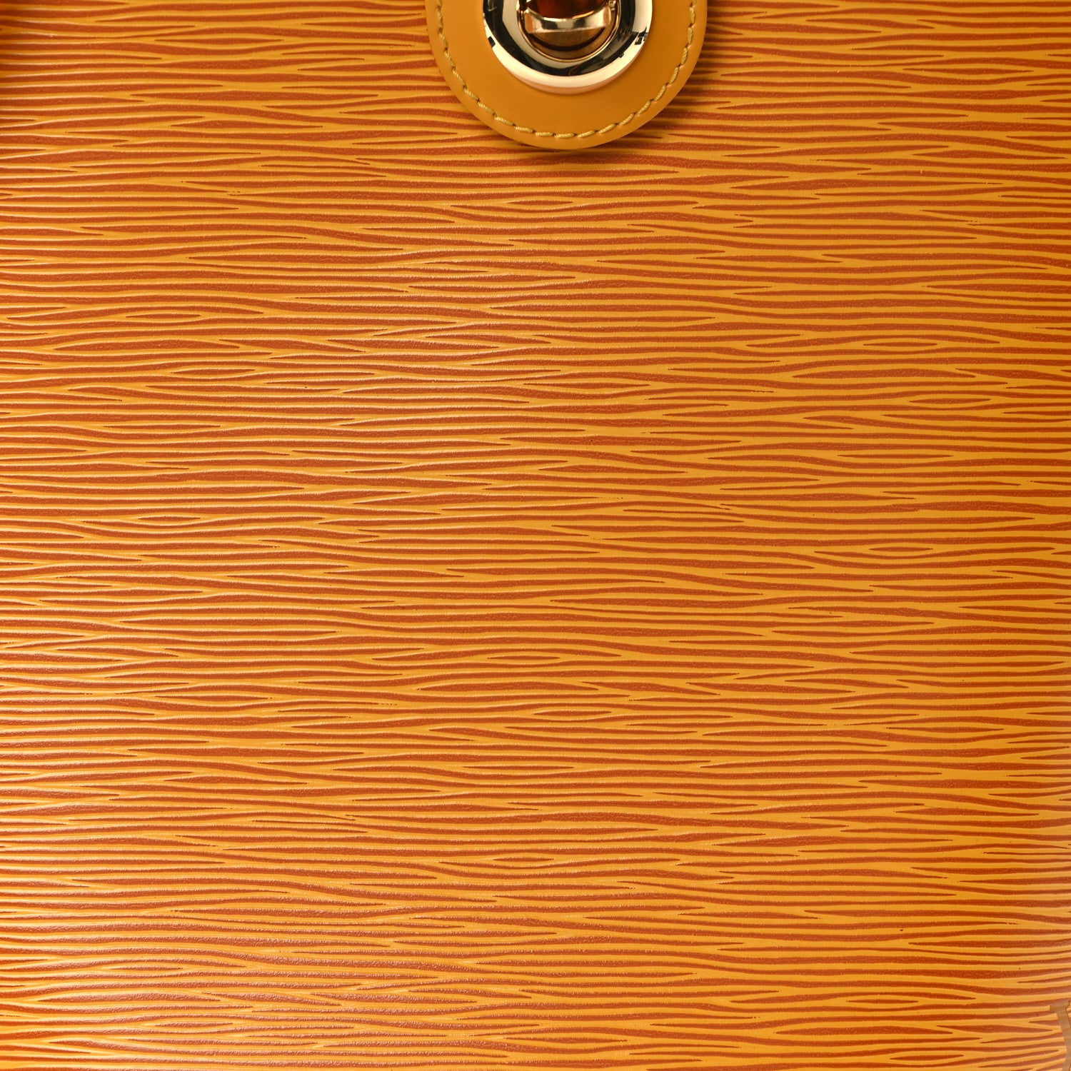 Louis Vuitton Epi Cluny Tassil 7 of 10