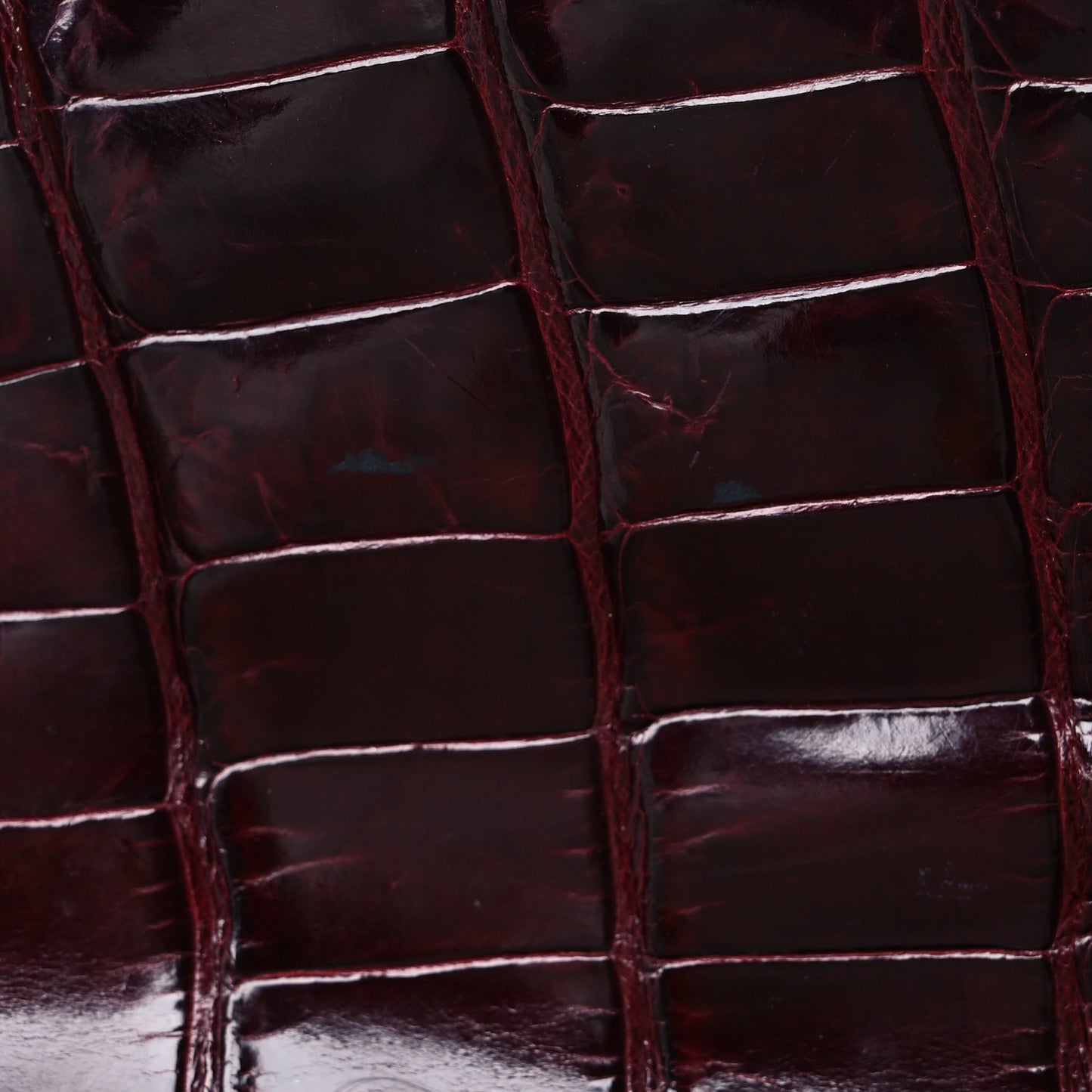 Shiny Porosus Crocodile Kelly Sellier 32 Rouge H