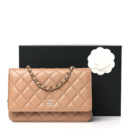 Chanel Caviar Quilted Wallet on Chain WOC Dark Beige 12 of 12