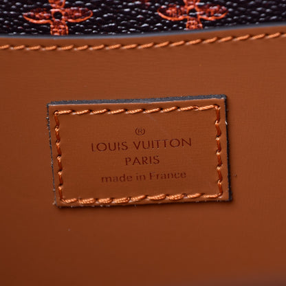 Louis Vuitton Calfskin Catogram City Steamer Cabas XXL Orange Marron 6 of 7