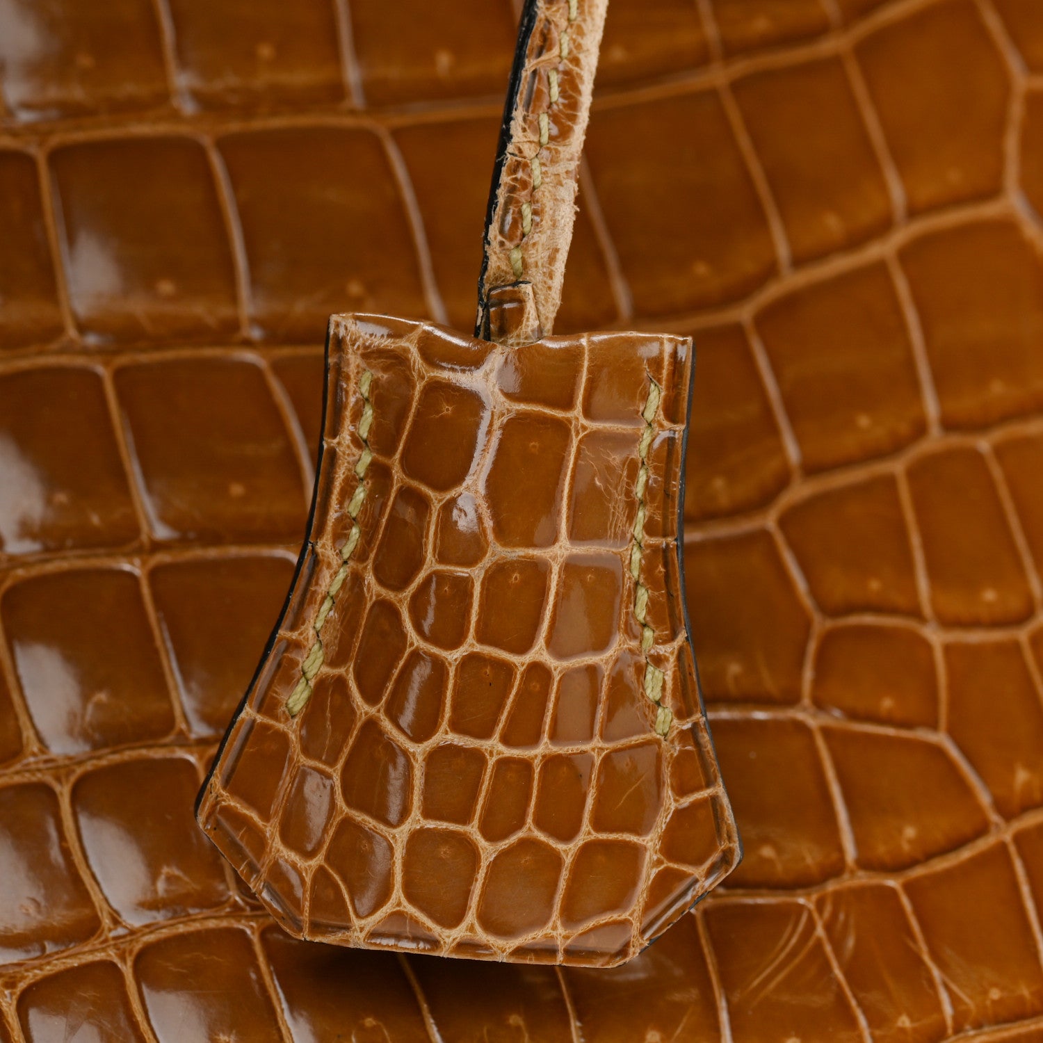 Hermes Shiny Porosus Crocodile Birkin 30 Ficelle Chartreuse 35 of 42