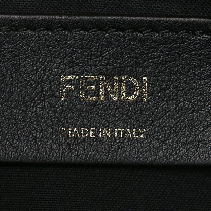 Fendi Vitello Grace Matte Mini Fendigraphy Hobo Bag Black 6 of 10
