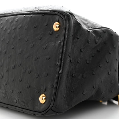 Prada Ostrich Double Zip Tote Black 9 of 27