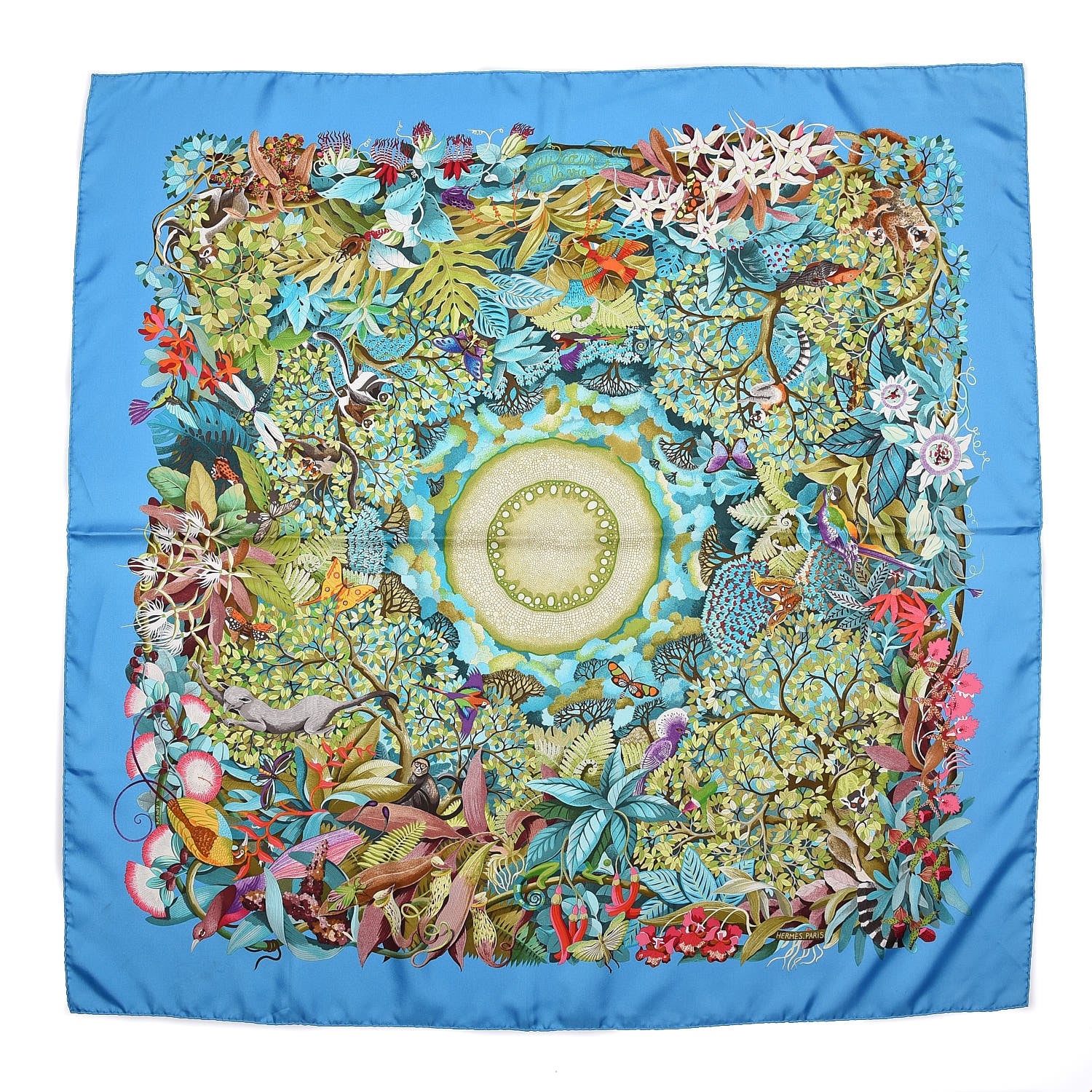 Hermes Silk Au Coeur de la Vie Scarf 90 1 of 8