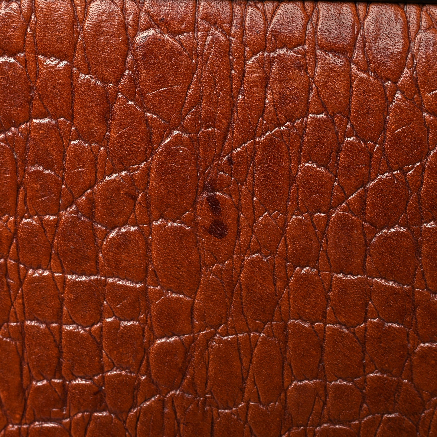 Calfskin Crocodile Embossed Medium Faye Shoulder Bag Mahogany